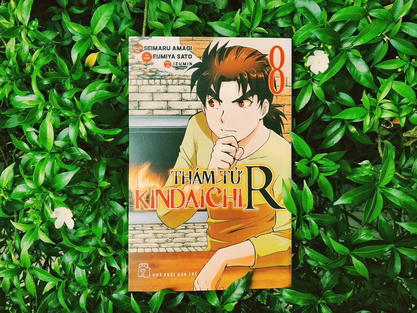 Manga Thám tử Kindaichi
